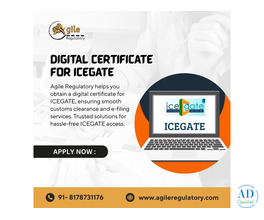 Apply for ICEGATE DSC Online – Trusted by Businesses