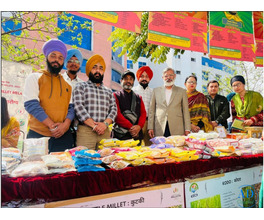 BSc . hons agriculture