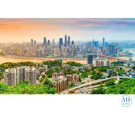 Property in Noida – Explore Multiple Options for Every Budget