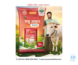 Top Quality Balanced Pellet – Best Cattle Feed India