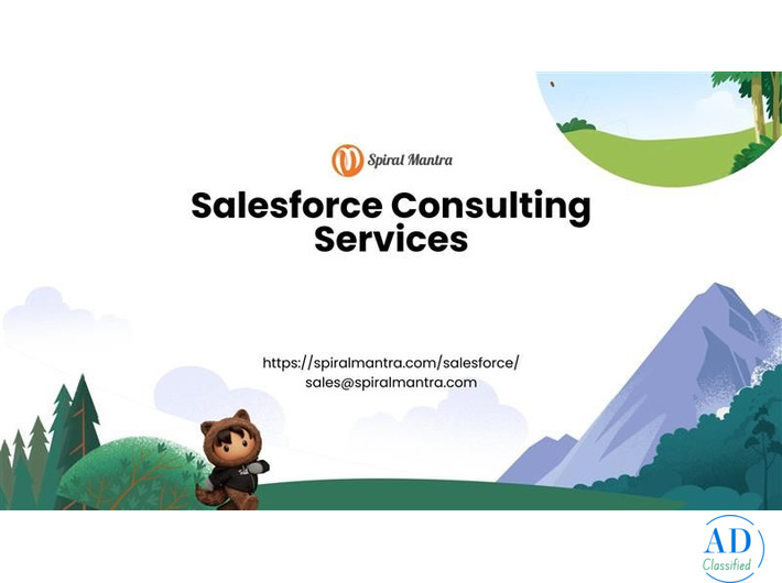 Maximize CRM ROI with Custom Salesforce Consulting Solutions