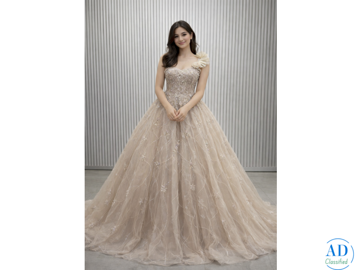 Wedding Dress on Rent Mumbai – Stunning Bridal Gowns