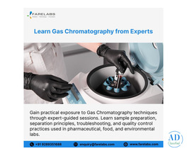 Master Gas Chromatography with Industry-Focused Training