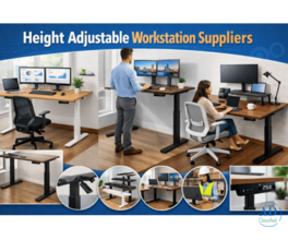 Height adjustable workstation Suppliers