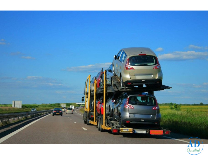 best car shipping company in Florida