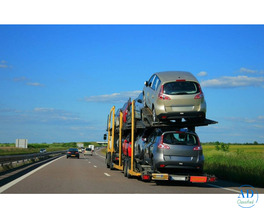 best car shipping company in Florida