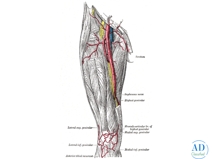 Effective Pain Relief with Radiofrequency Ablation Knee Joint Treatment