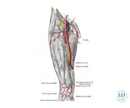 Effective Pain Relief with Radiofrequency Ablation Knee Joint Treatment