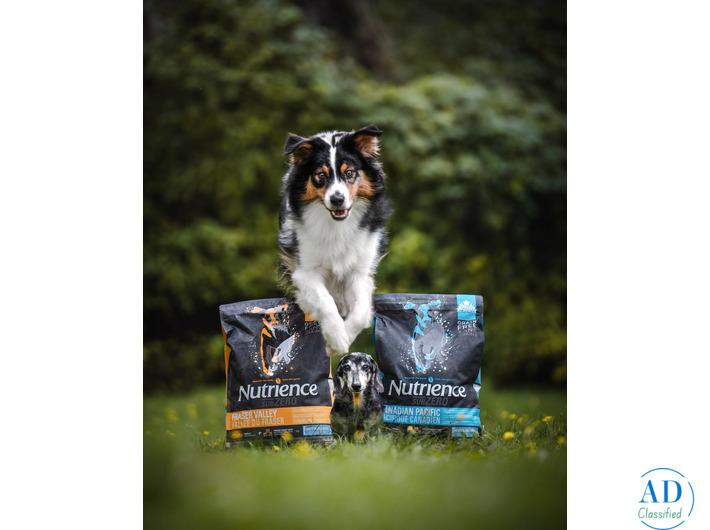 Online Best Dog Food for Dogs