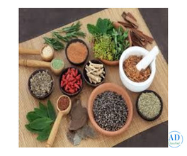 Top Quality Herbal Extracts - Delhi's Leading Supplier