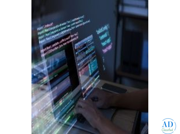 Professional Web Development Services | Dignizant