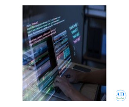 Professional Web Development Services | Dignizant