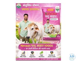 Best HI Pro Feed for Cattle