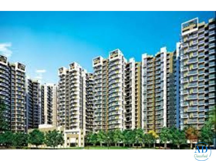 Such a Huge Flat for ₹75 Lakhs? Check Out the Full Price List!