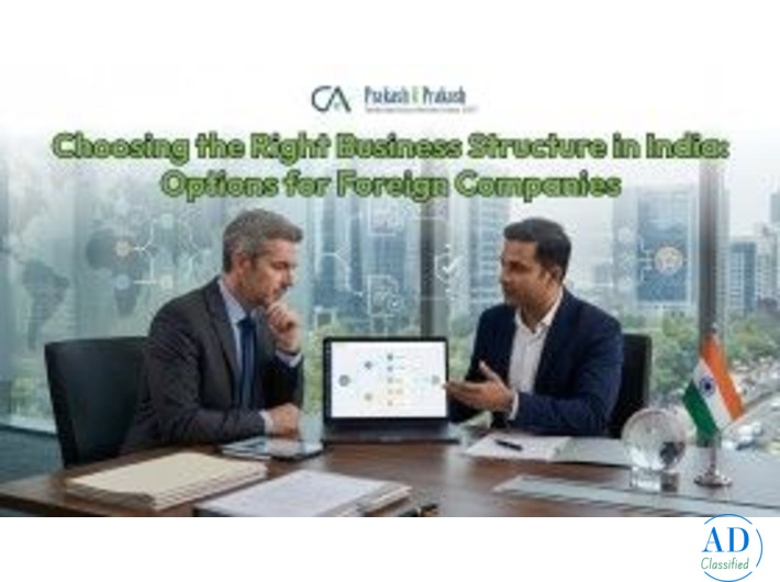Choosing the Right Business Structure in India