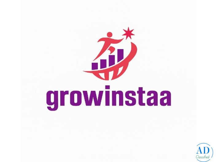 Growinstaa - Instagram Growth Services in Jaipur