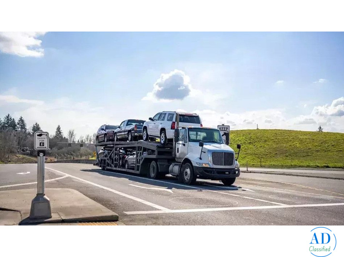 Enclosed Auto Shipping Services in South Carolina