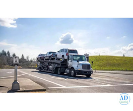 Enclosed Auto Shipping Services in South Carolina