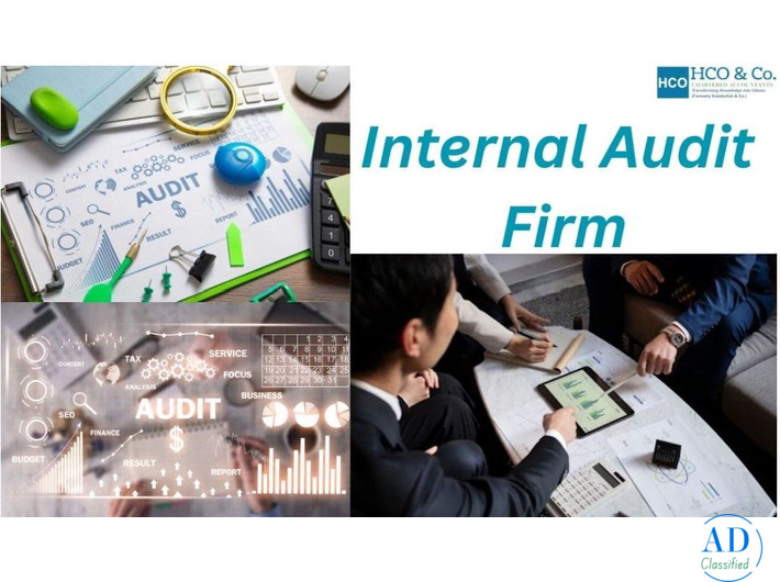 Which Is the Best Internal Audit Firm in India for Audit Risk?