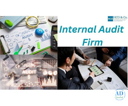Which Is the Best Internal Audit Firm in India for Audit Risk?