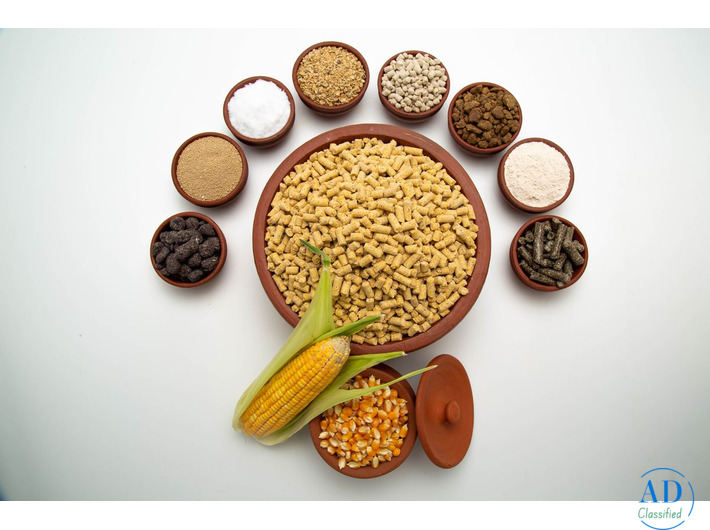 RGS Feeds – Quality Nutrition for Healthier Livestock & Higher Yields