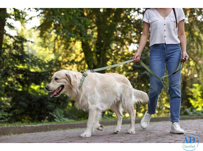 Dog Walking Services in Bhubaneswar