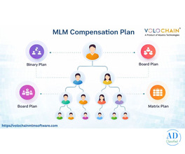 Increase Earnings with MLM Compensation Plan Software Service