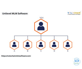 Boost Team Productivity with Unilevel MLM Software Services