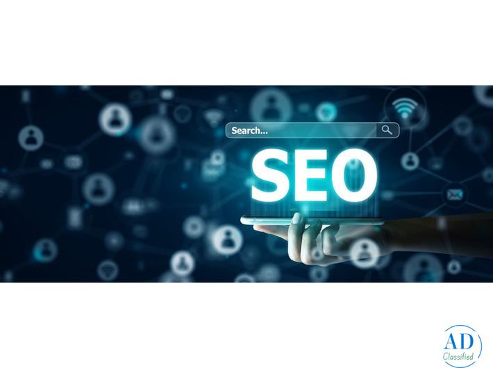 Sushma Sain – Top SEO Expert In Jaipur Driving Real Organic Growth