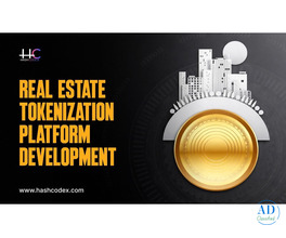 Smart Real Estate Tokenization Platform Development by Hashcodex