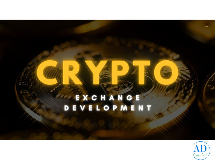 Tired of Delays in Crypto Exchange Development? Who Can Fix It Fast?