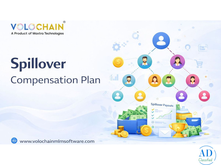 Enhance Success Using Spillover Compensation Plan Software Services