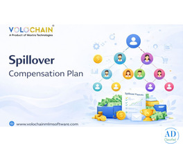 Enhance Success Using Spillover Compensation Plan Software Services