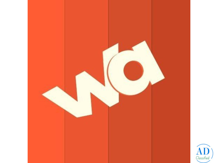 Top Digital Marketing Agency in Rohtak - Web Aspiration