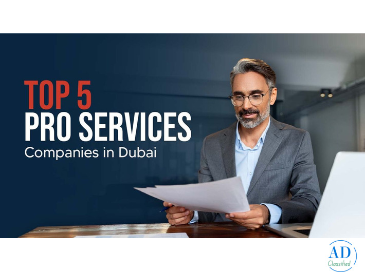 Best PRO Services Companies in Dubai, UAE