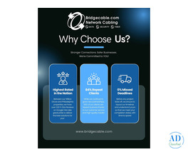 Bridge Cable - #1 Rated Network Cabling Company in the USA