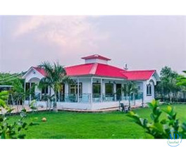 Luxury Farmhouse with Pool & Green Landscape