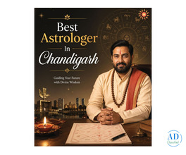Best Astrologer In Chandigarh