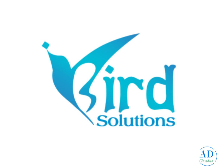 iBird Solutions – Digital Excellence in Web & Marketing Beyond Boundaries