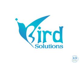 iBird Solutions – Digital Excellence in Web & Marketing Beyond Boundaries