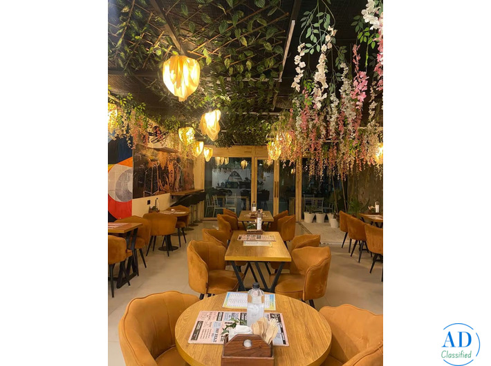 THE COFFEE CONCEPT KOTA - Best Coffee Shop in Kota