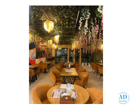 THE COFFEE CONCEPT KOTA - Best Coffee Shop in Kota