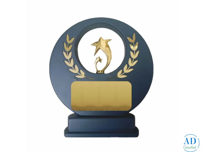 Gold Star Achievement Award