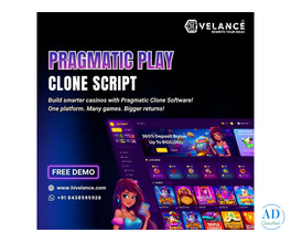 iGaming Scripts Powered by Whitelabel Pragmatic Play Clone Software