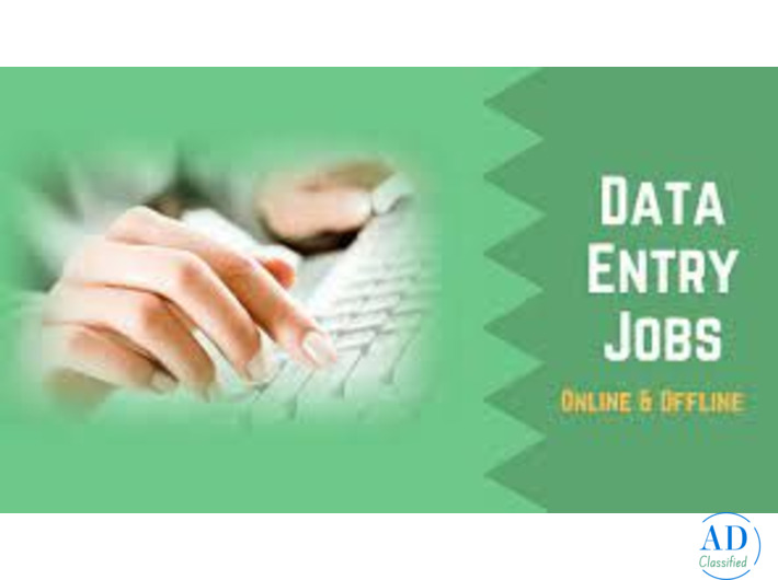Data Entry Project Available