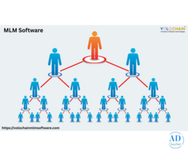Begin Today with Best MLM Software Company in India Growth Tools