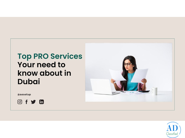 List of PRO Services in Dubai