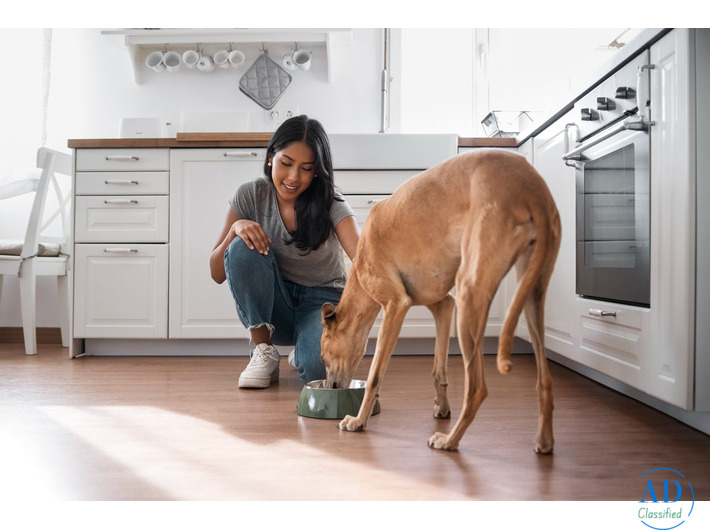 All Your Pet Care Needs in One Place