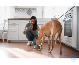 All Your Pet Care Needs in One Place