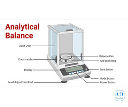What Really Happens Inside an Analytical Balance? (Explained Simply)